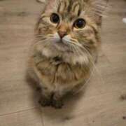 ヒメ日記 2025/04/21 22:15 投稿 すず 錦糸町人妻花壇