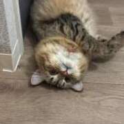 ヒメ日記 2025/04/26 20:15 投稿 すず 錦糸町人妻花壇