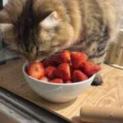 ヒメ日記 2025/04/29 08:15 投稿 すず 錦糸町人妻花壇