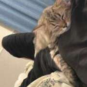 ヒメ日記 2025/05/11 18:15 投稿 すず 錦糸町人妻花壇