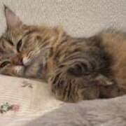 ヒメ日記 2025/05/12 22:15 投稿 すず 錦糸町人妻花壇