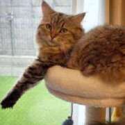 ヒメ日記 2025/05/16 14:15 投稿 すず 錦糸町人妻花壇