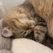 ヒメ日記 2025/05/22 14:15 投稿 すず 錦糸町人妻花壇