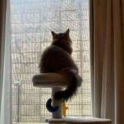 ヒメ日記 2025/06/01 00:40 投稿 すず 錦糸町人妻花壇