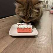 ヒメ日記 2025/06/04 10:15 投稿 すず 錦糸町人妻花壇