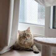 ヒメ日記 2025/06/12 12:31 投稿 すず 錦糸町人妻花壇