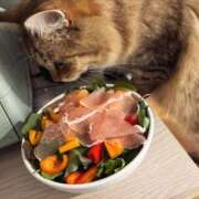 ヒメ日記 2025/06/14 14:15 投稿 すず 錦糸町人妻花壇