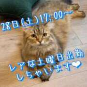 ヒメ日記 2025/06/23 22:15 投稿 すず 錦糸町人妻花壇