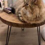 ヒメ日記 2025/07/15 00:15 投稿 すず 錦糸町人妻花壇