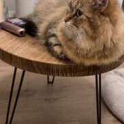 ヒメ日記 2025/07/16 08:15 投稿 すず 錦糸町人妻花壇