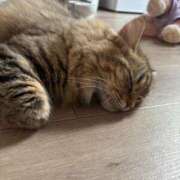 ヒメ日記 2025/07/21 22:15 投稿 すず 錦糸町人妻花壇