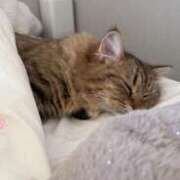 ヒメ日記 2025/07/24 01:15 投稿 すず 錦糸町人妻花壇