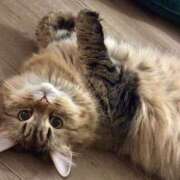 ヒメ日記 2025/07/24 23:15 投稿 すず 錦糸町人妻花壇