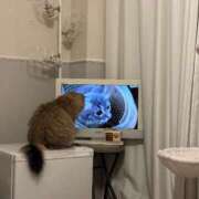 ヒメ日記 2025/07/26 19:15 投稿 すず 錦糸町人妻花壇