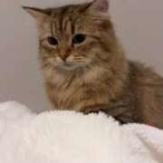 ヒメ日記 2025/07/27 22:15 投稿 すず 錦糸町人妻花壇