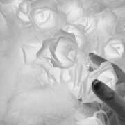 ヒメ日記 2025/07/28 18:31 投稿 すず 錦糸町人妻花壇