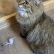 ヒメ日記 2025/07/30 23:28 投稿 すず 錦糸町人妻花壇