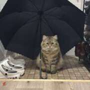 ヒメ日記 2025/08/11 12:28 投稿 すず 錦糸町人妻花壇