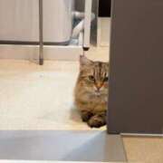 ヒメ日記 2025/08/13 13:07 投稿 すず 錦糸町人妻花壇