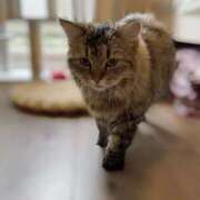 ヒメ日記 2025/08/18 13:50 投稿 すず 錦糸町人妻花壇