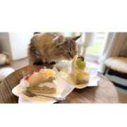 ヒメ日記 2025/08/29 12:51 投稿 すず 錦糸町人妻花壇