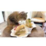 ヒメ日記 2025/09/18 21:15 投稿 すず 錦糸町人妻花壇