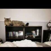 ヒメ日記 2025/09/27 14:15 投稿 すず 錦糸町人妻花壇