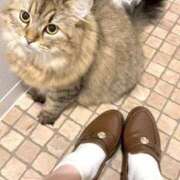 ヒメ日記 2025/09/30 10:15 投稿 すず 錦糸町人妻花壇