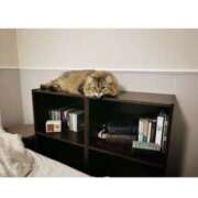 ヒメ日記 2025/10/01 22:15 投稿 すず 錦糸町人妻花壇