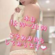 ヒメ日記 2025/09/30 11:15 投稿 すず 錦糸町人妻花壇