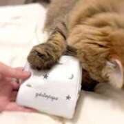 ヒメ日記 2025/10/05 14:15 投稿 すず 錦糸町人妻花壇