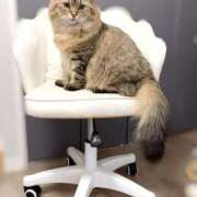 ヒメ日記 2025/10/07 14:15 投稿 すず 錦糸町人妻花壇