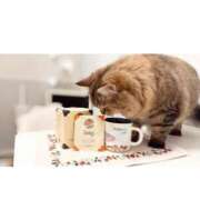 ヒメ日記 2025/10/25 14:15 投稿 すず 錦糸町人妻花壇