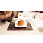 ヒメ日記 2025/10/26 08:15 投稿 すず 錦糸町人妻花壇