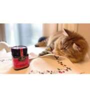 ヒメ日記 2025/10/28 08:19 投稿 すず 錦糸町人妻花壇