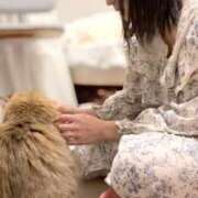 ヒメ日記 2025/11/08 21:15 投稿 すず 錦糸町人妻花壇