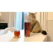 ヒメ日記 2025/11/13 08:15 投稿 すず 錦糸町人妻花壇