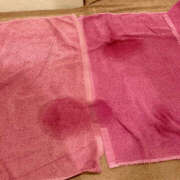 ヒメ日記 2025/01/06 17:46 投稿 もこ 横浜パフパフチェリーパイ