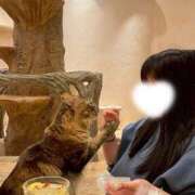 ヒメ日記 2026/04/27 12:44 投稿 れん ダイナマイト（鶯谷）