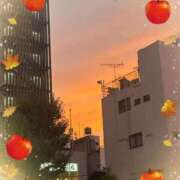 ヒメ日記 2025/10/29 18:16 投稿 コウ 花夫人