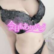 ヒメ日記 2025/01/31 22:46 投稿 長澤つばさ 淫乱OL派遣商社 斉藤商事