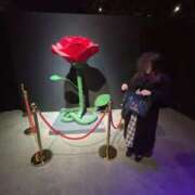 ヒメ日記 2025/03/19 14:00 投稿 みいさ 快楽夫人