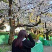 ヒメ日記 2025/04/15 13:30 投稿 みいさ 快楽夫人