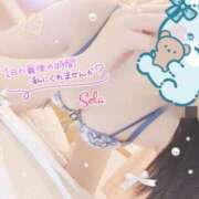 ヒメ日記 2025/05/25 18:30 投稿 せら 奥様はエンジェル　相模原店