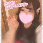 ヒメ日記 2025/12/15 08:15 投稿 うらら ぐらどるえっぐ