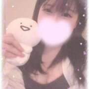 ヒメ日記 2026/02/12 09:22 投稿 うらら ぐらどるえっぐ