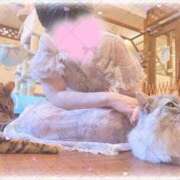 ヒメ日記 2026/03/09 08:14 投稿 うらら ぐらどるえっぐ