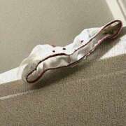 ヒメ日記 2025/04/05 17:02 投稿 アリス 素人美少女専門　新横浜アンジェリーク（アンジェリークグループ）