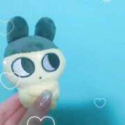 ヒメ日記 2025/11/16 12:20 投稿 かのん My Essentials