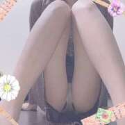 ヒメ日記 2025/04/06 09:21 投稿 才原美鈴(さいはらみすず) 姫路マダム大奥